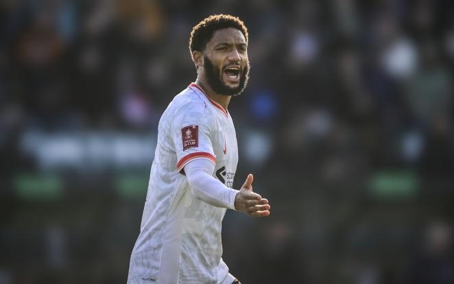 才有能力匹 才有能力匹